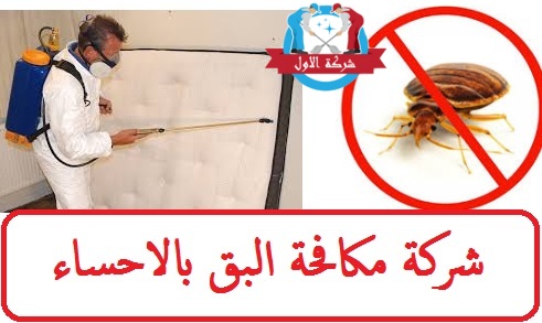 شركة مكافحة البق بالاحساء