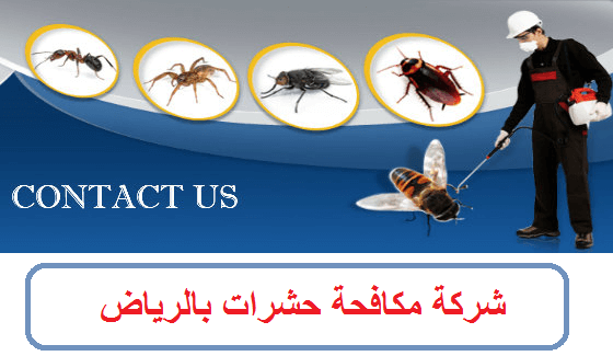 ارخص شركة مكافحة حشرات بالرياض بالضمان