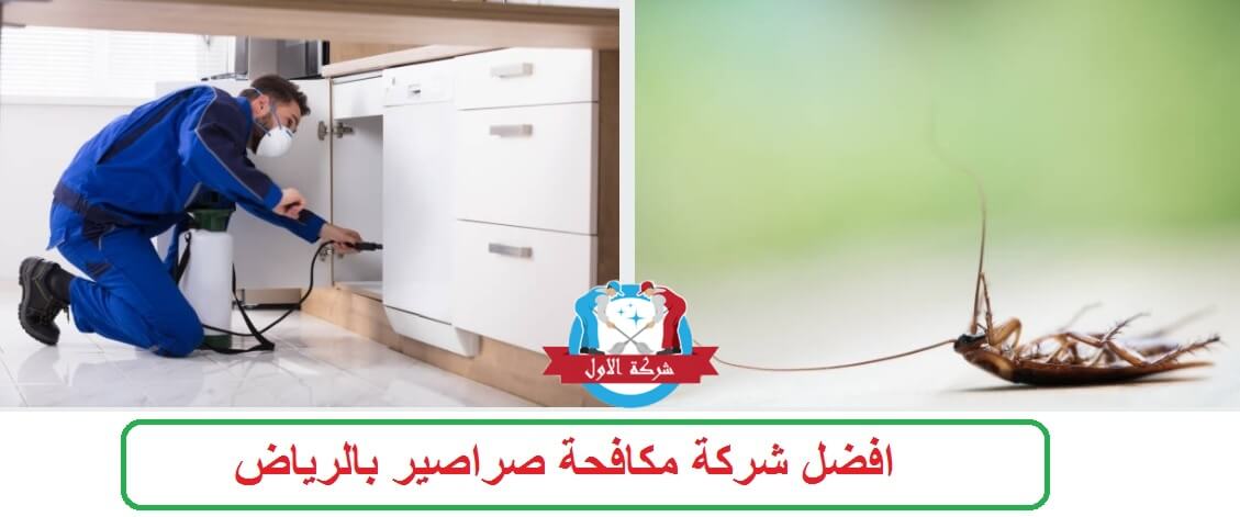 افضل شركة مكافحة الصراصير بالرياض