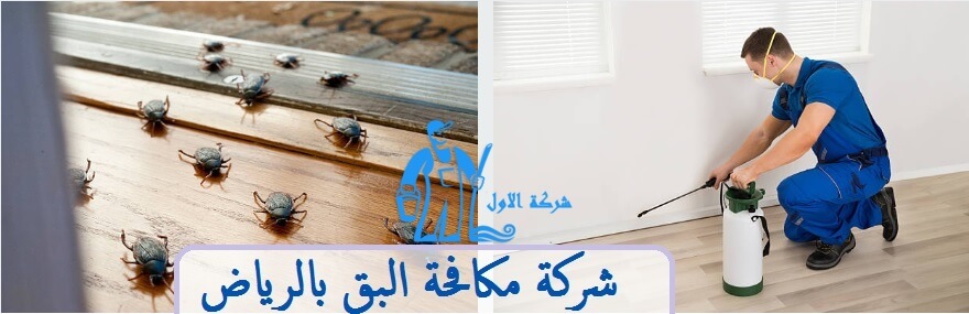 شركة مكافحة البق بالرياض