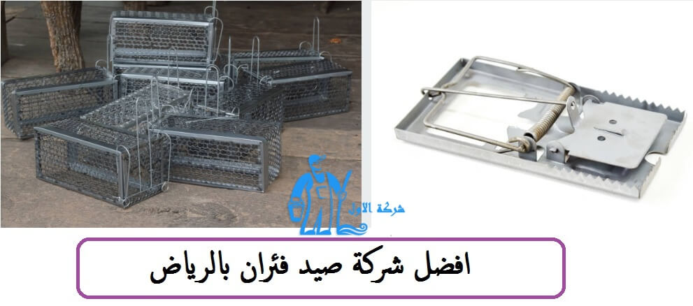 شركة مكافحة الفئران بالرياض صيد الفئران