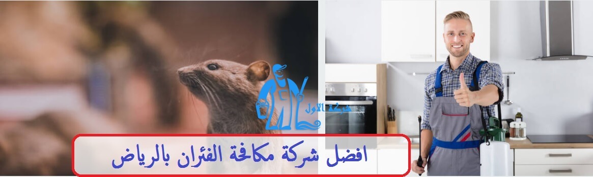 شركة مكافحة الفئران بالرياض